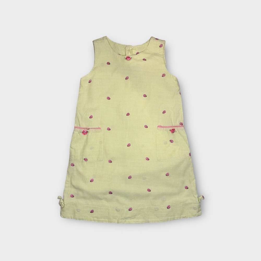 Cach Cach Vintage Lime Green Pin Check Plaid Ladybug Embroidered Pattern Dress